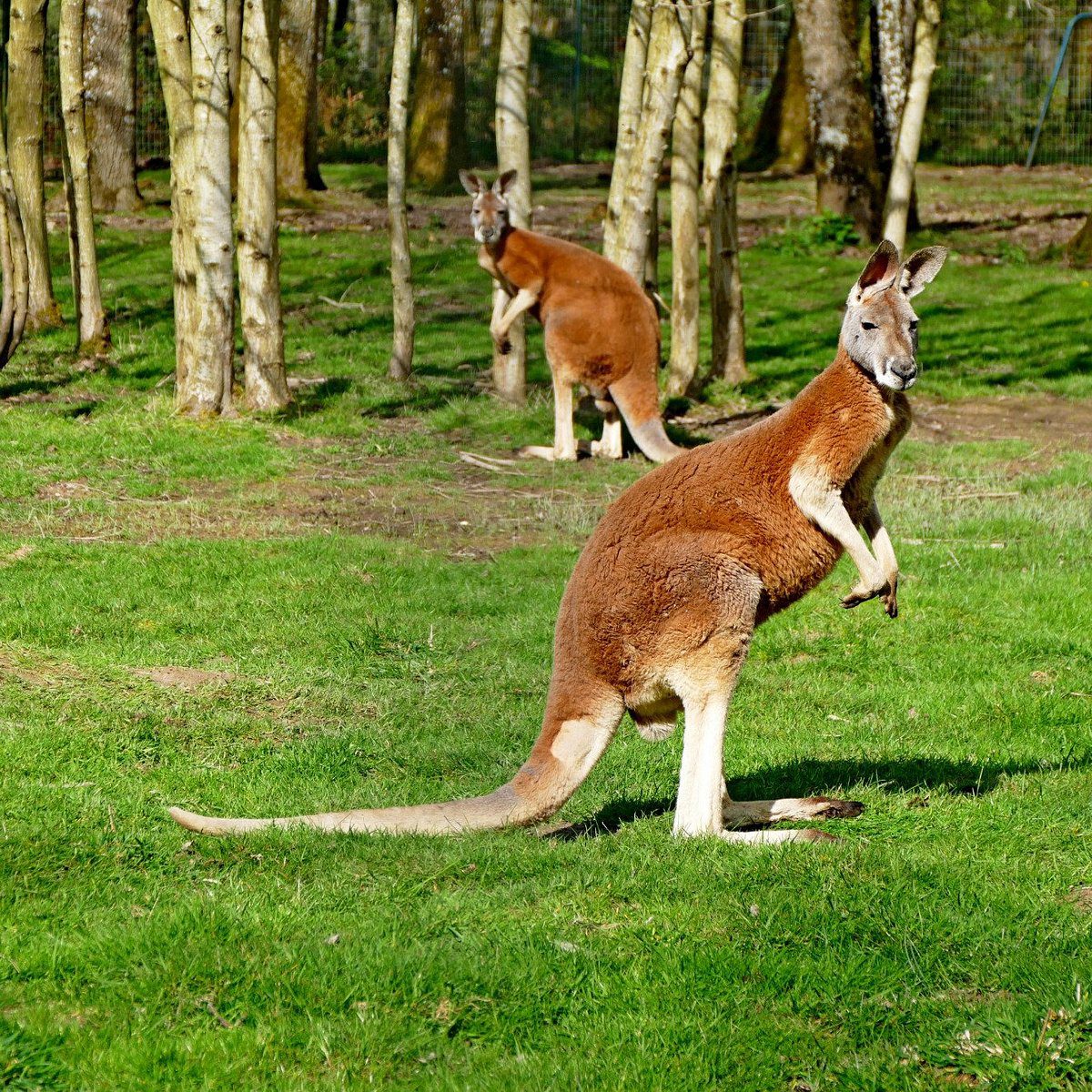 5 Réserve Zoologique de la Haute-Touche